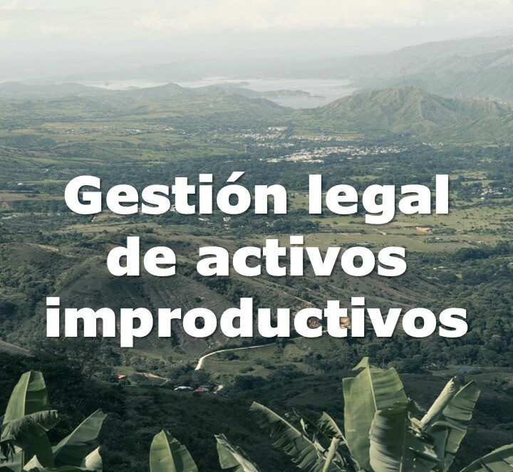 Gestión legal de activos improductivos